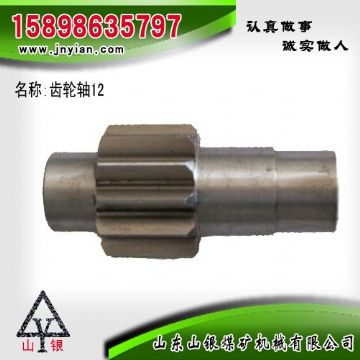 點(diǎn)擊查看詳細(xì)信息<br>標(biāo)題：齒輪軸12 江陰系列配件 閱讀次數(shù)：2176