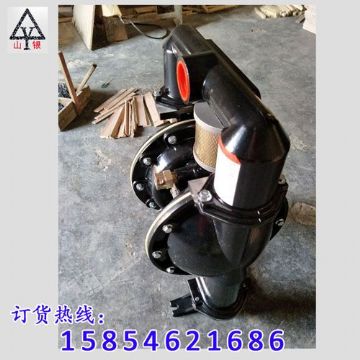 點擊查看詳細信息<br>標題：氣動隔膜泵著名品牌-氣動隔膜泵廠家 閱讀次數(shù)：1959