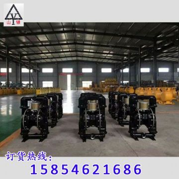 點擊查看詳細信息<br>標題：隔膜泵_氣動隔膜泵_隔膜泵價格_隔膜泵 閱讀次數(shù)：1840