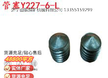 點(diǎn)擊查看詳細(xì)信息<br>標(biāo)題：英格索蘭隔膜泵配件管塞Y227-6-L 閱讀次數(shù)：304