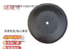 點(diǎn)擊查看詳細(xì)信息<br>標(biāo)題：氣動(dòng)隔膜泵配件-隔膜片 閱讀次數(shù)：239