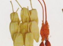 點(diǎn)擊查看詳細(xì)信息<br>標(biāo)題：取氣樣球膽 閱讀次數(shù)：163